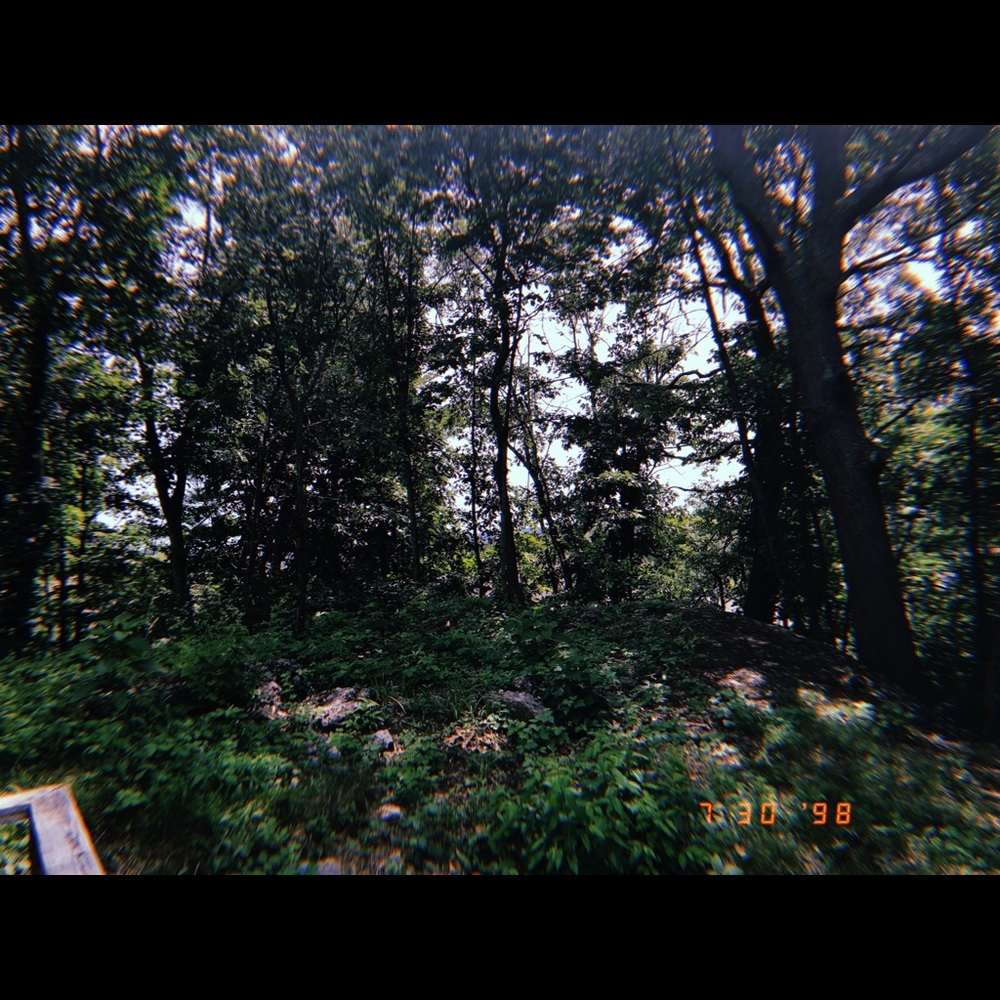 Meet your Posher, Beyonca